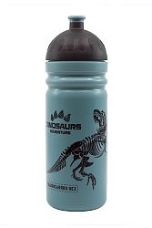 R&B Egészséges palack T-REX 0,7 l