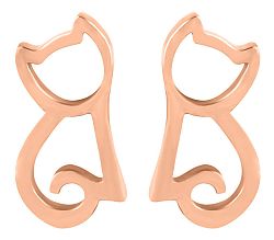 Troli Modern bronz fülbevalók Macska