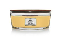 WoodWick Hajógyertya Seaside Mimosa 453,6 g
